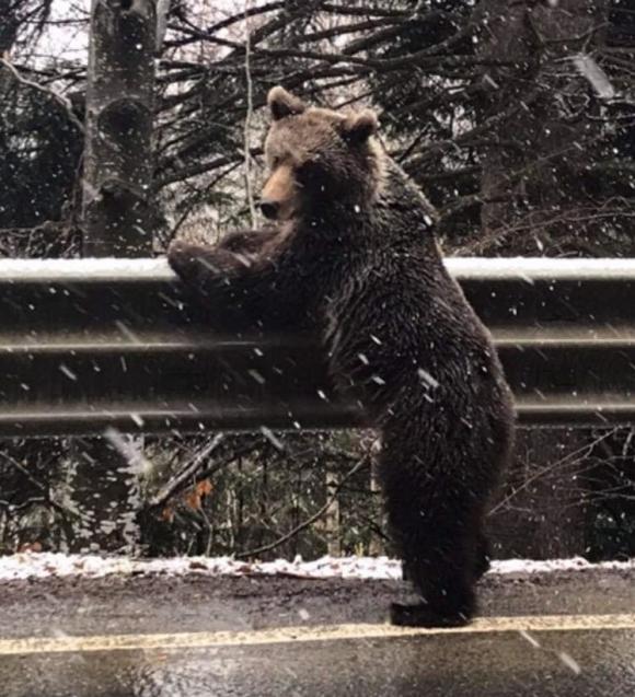 foto urs alex nicodim 2