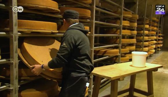 depozit cascaval elvetia