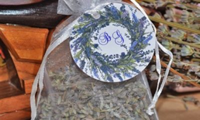 invitatii nunta lavanda