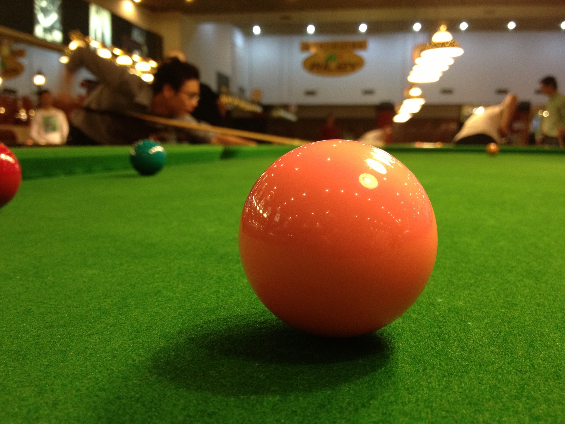 pariuri sportive online