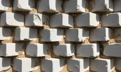 Care sunt diferențele între blocurile ceramice și BCA?